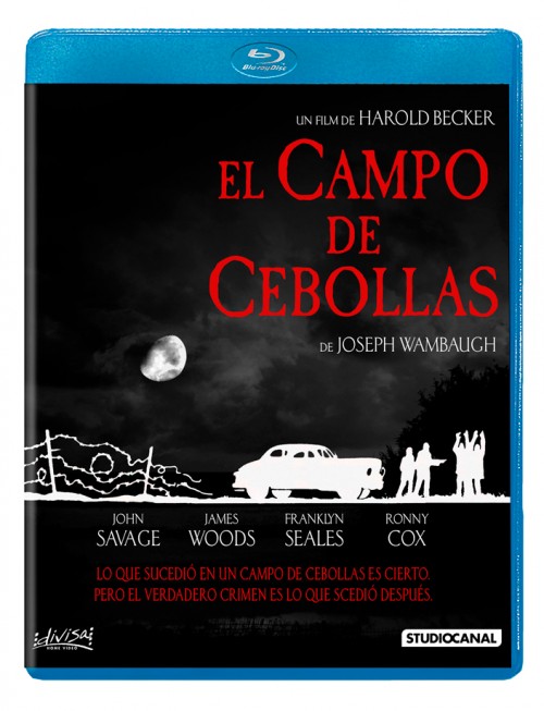 El campo de cebollas