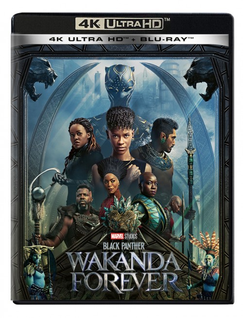 Black Panther - Wakanda Forever (4K UHD) - BD